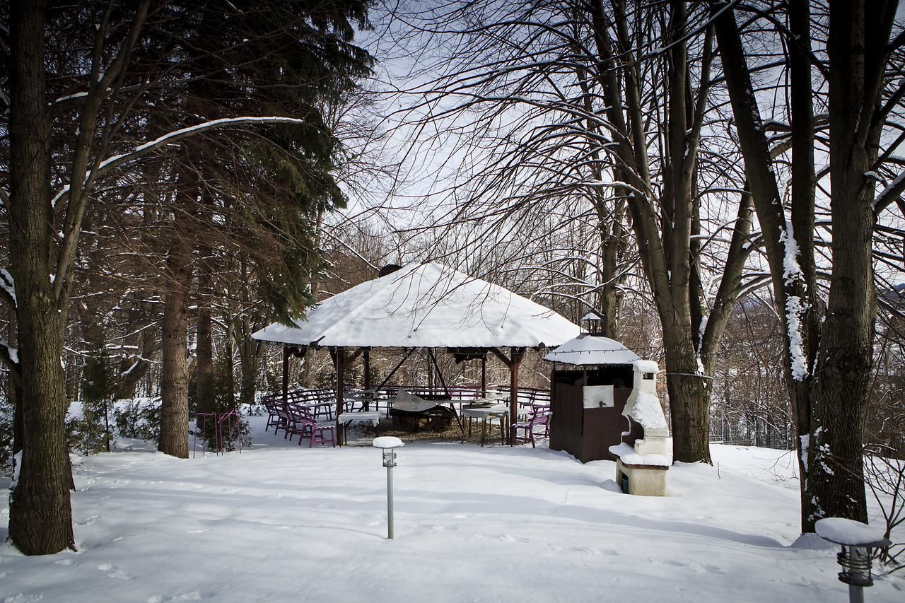Отель Hotel Laworta Устшики-Дольне-43